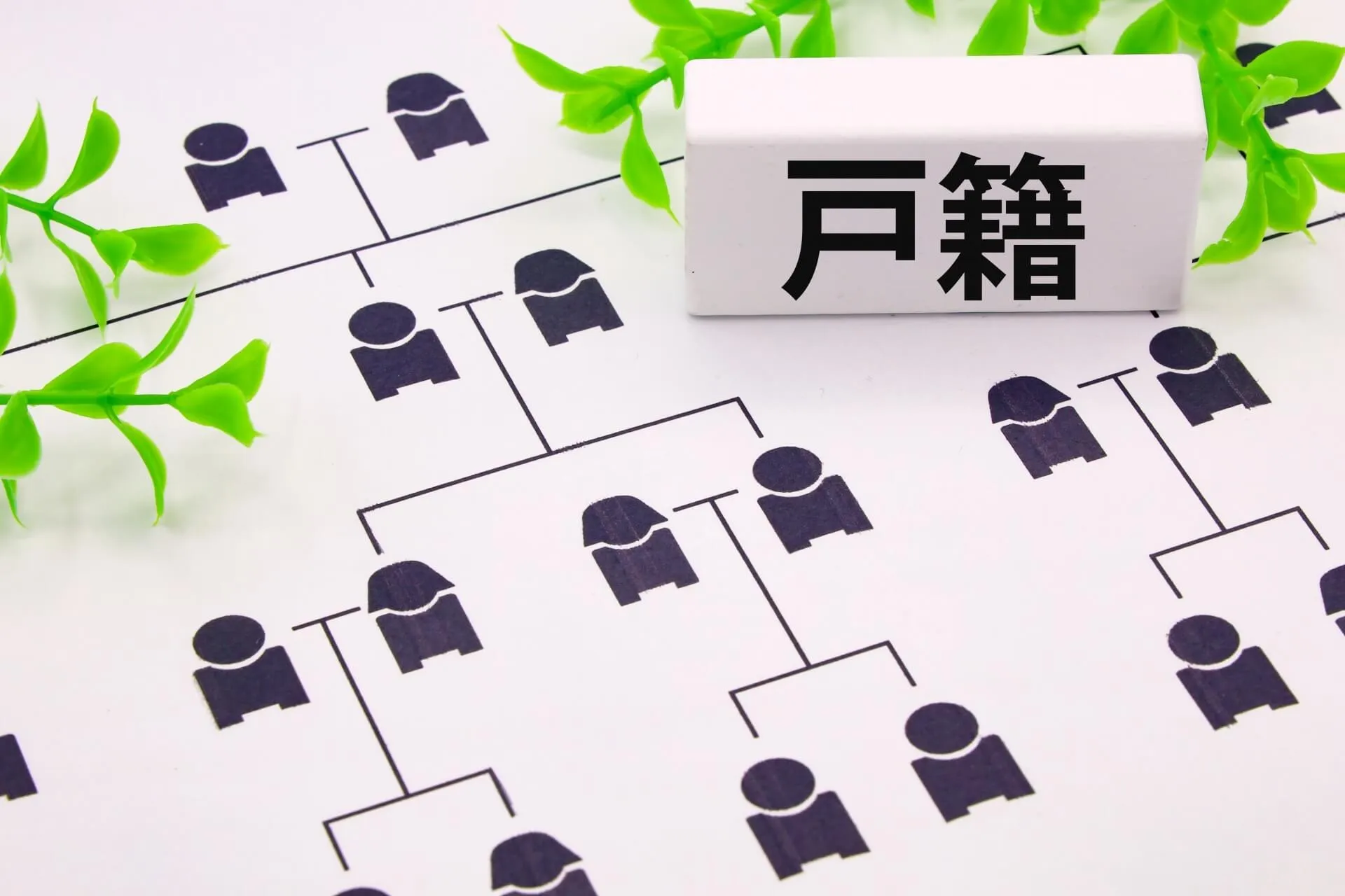 家系図と戸籍の関係解説図